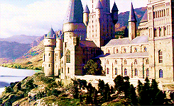 maraudder:  Harry Potter meme | four locations [&frac14;] hogwarts 