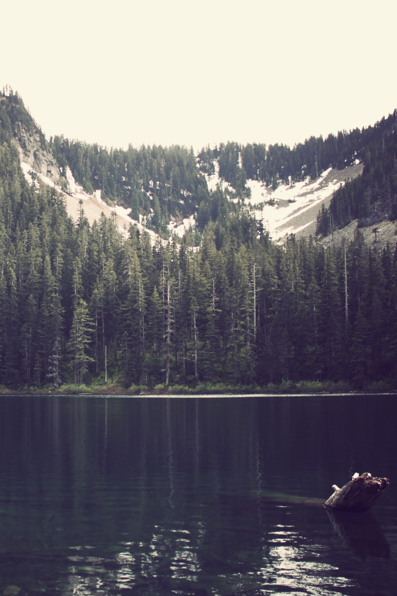 decepticun:  Untitled | by warmsummernight