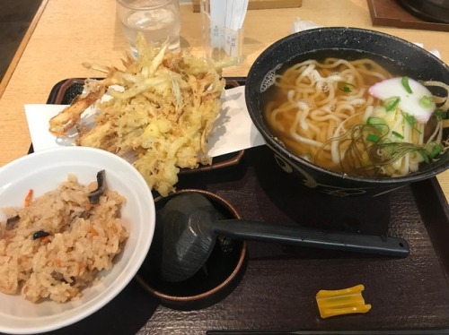 ごぼう天うどん、ランチ