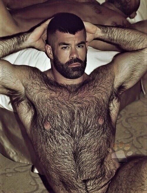 joeblog66:  hungjohn42:  long-beards:   James One of the hottest holidays men I have ever seen.    Extremely hot hairy man    Hot! 