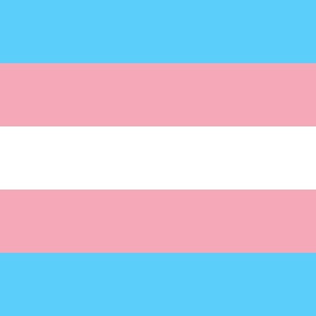 To all the trans friends I have, and to all those haven’t met yet: I love you and I see you and I stand with you. In this terrifying time and always. I am grateful and better for knowing...