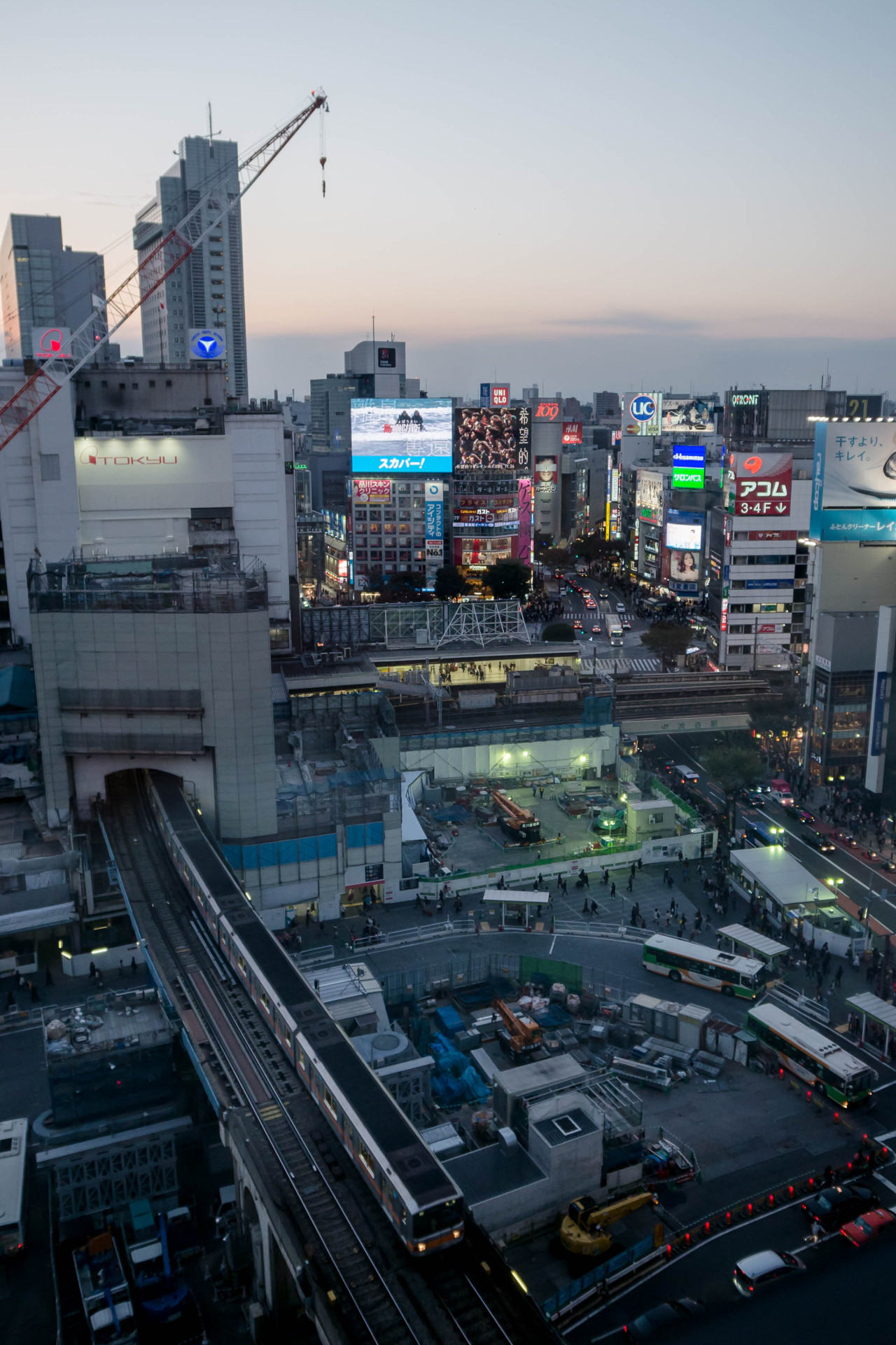 uoduk:  Tokyo,Shibuya 