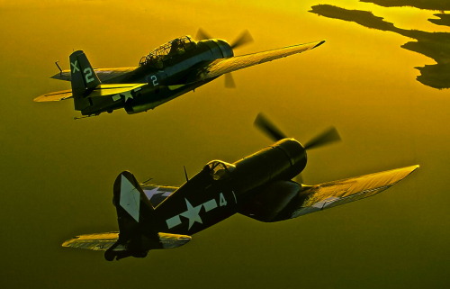 theworldairforce:  Backup || John Dibbs Grumman TBM-3 Avenger & Chance Vought F4U-1A Corsair