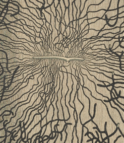 nemfrog:Bark beetle pathways. De Danske Barkbiller. 1898. e-rara