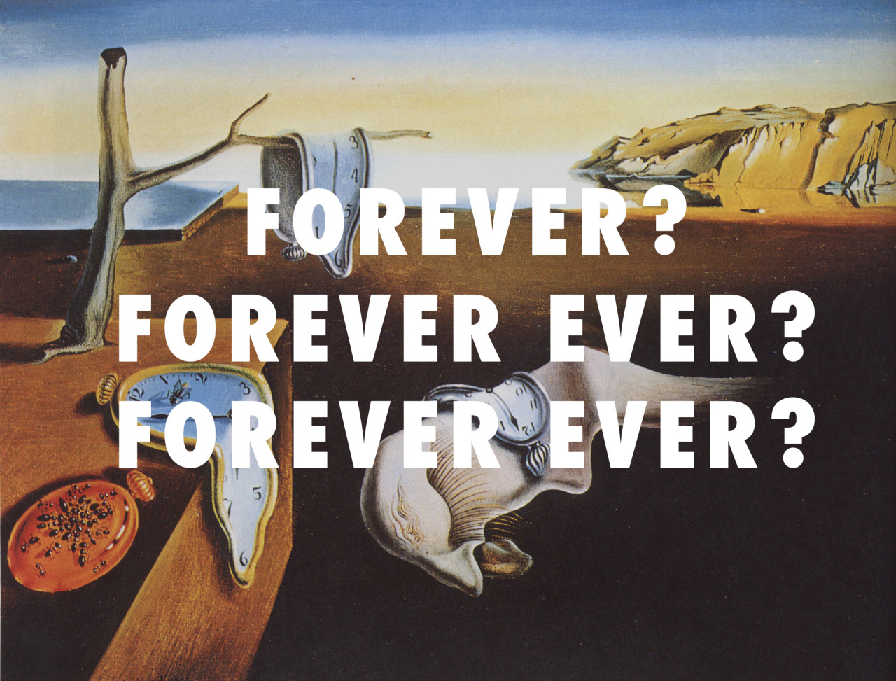 flyartproductions:
“ The persistence of Ms. Jackson
The Persistence of Memory (1931), Salvador Dali / Ms. Jackson, Outkast
”