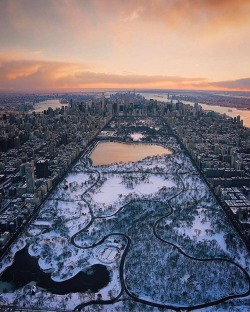 newyorkcityfeelings: Central Park is living