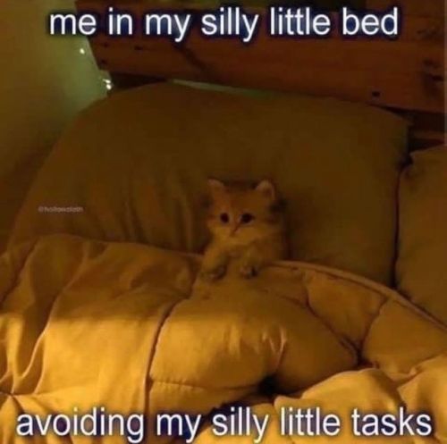 mewnoon - Space for my unhealthy obsessions to flourish