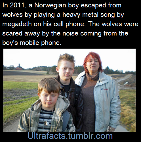 ultrafacts:  Source   Follow Ultrafacts for more facts 