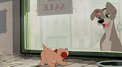 gayleykiyoko-archive: Get to know me meme: 19/20 animated movies » Lady and the