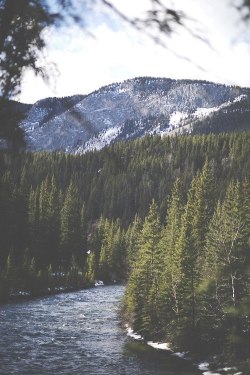 obsol:  hipsterinthewilderness:  nature    ‣ nature   
