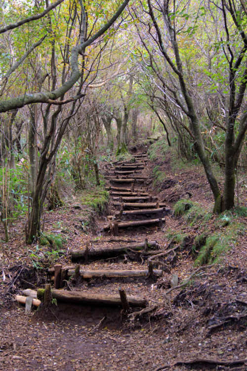 miizukizu:  By : Peaceful-jp-scenery(Do not remove credits)