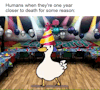 dankmemeuniversity: