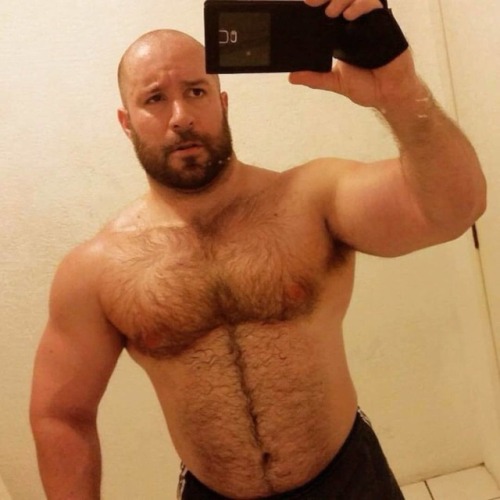 musclesandbulges: #bearsofinstagram #instagays #alphamale  #strongman #musclebear #beefyman  #handso