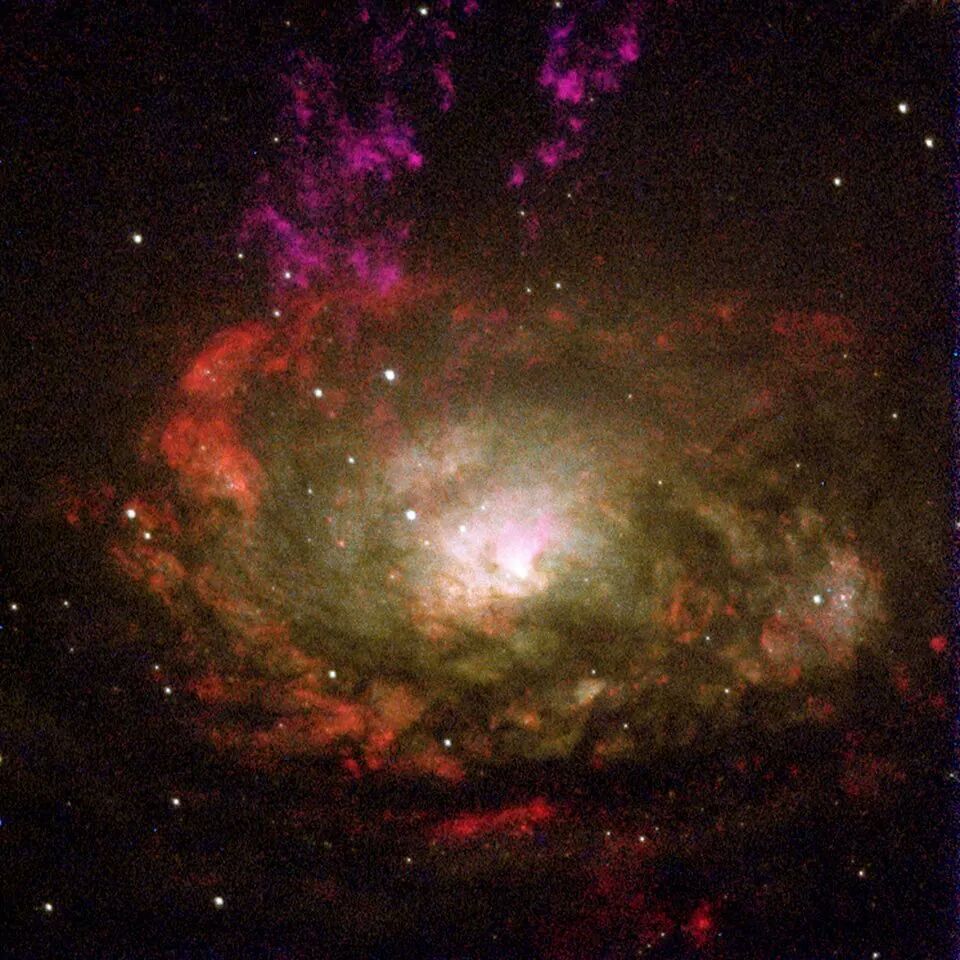 One day, this Alien will return home. Amongst the stars and swirling galaxies. Don’t