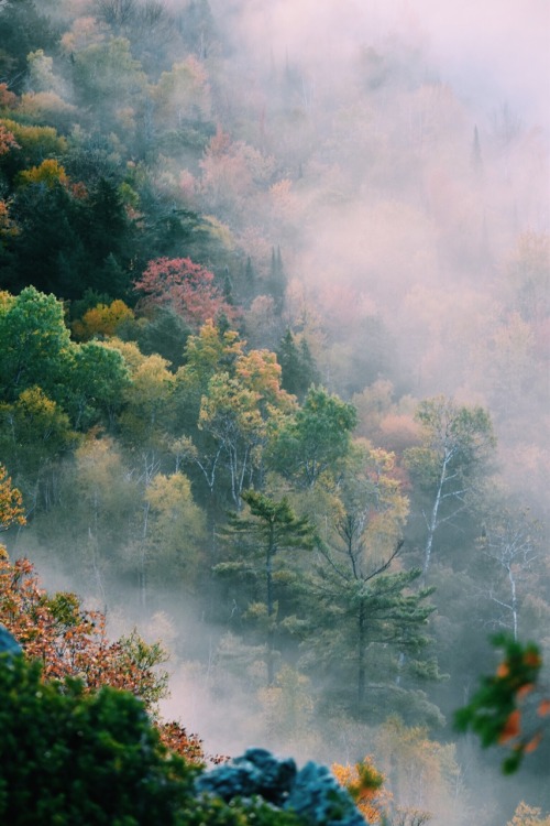 adventureovereverything:Fog over the cliff