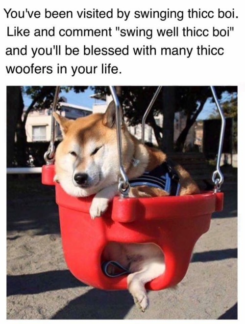 https://good-dog-girls.tumblr.com/post/157110544237