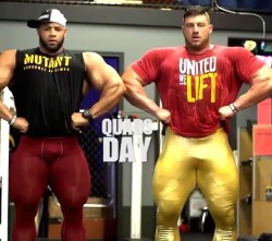 downundershaver:  Tights Bros