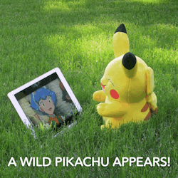 This is NOT how you catch a Pokemon. Gotta catch &lsquo;em all on the CN App!