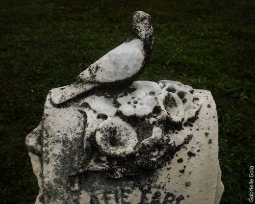 dansemacabre-:  McCord Cemetery, my photos, Gabrielle Gaia on Flickr
