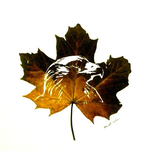 Delicate Leaf Cuttings By Omid  Asadi