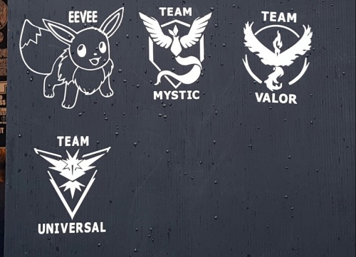 Team Valor, Team Mystic, and *looks at smudged writing on hand* Team Universal.