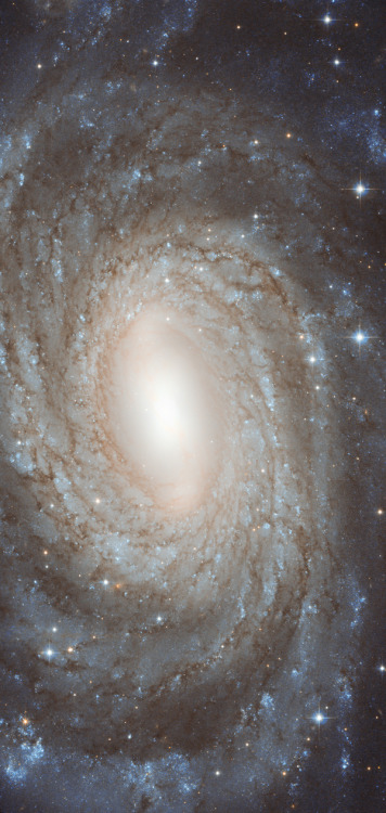 atomstargazer:   APOD|2013 July 6 |NGC 6384: Spiral Beyond the Stars Credit: ESA, Hubble, NASA 