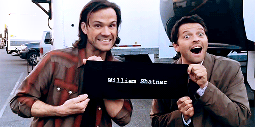 mishasminions:  SERIOUSLY MISHA WHAT IS YOUR FACE YOU’RE EITHER A CUTE CUDDLY SEXY BB  OR A PSYCHOTIC MOTHERFUCKER WHO WILL PROBABLY KILL ME IN MY SLEEP  THERE IS NO IN BETWEEN 