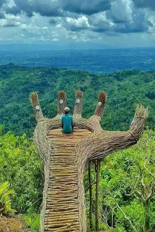 Pinus Pengger, Terong, Bantul, Yogyakarta - Indonesia