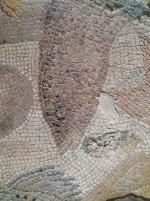 romegreeceart:Floor mosaic from Isola Sacra Necropolis, Ostia* 2nd centyry CE* Ostia Antiquarium* Ex