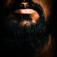 wolfeandbeard