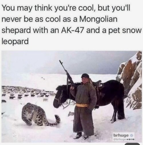 Fun Fact: 