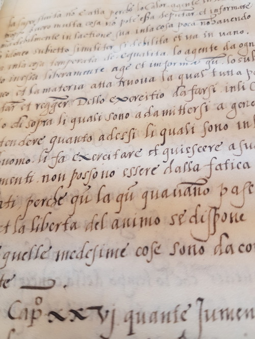 LJS 29 - Extratto da un libro de razza da cavalli del re Ferrante vechio de Aragona This is a treati