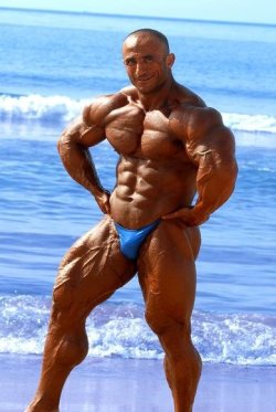 Muscle Bound