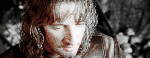 scamcnders:gif request meme || LOTR & favourite familial relationship -Faramir & Boromirrequ
