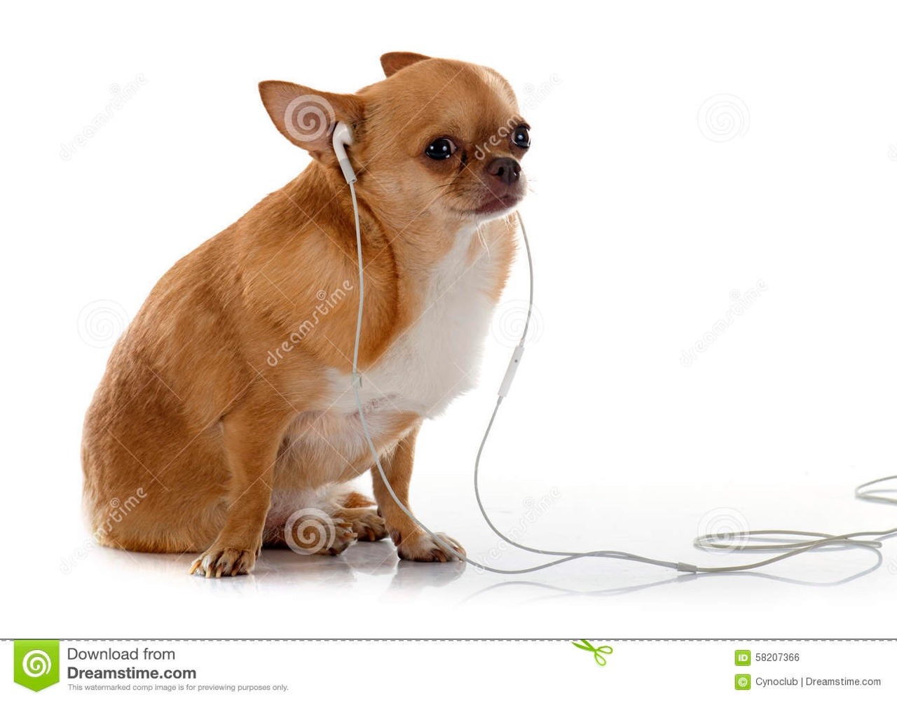 suckdog:  me