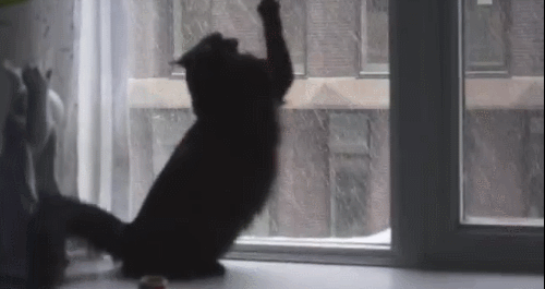 Funny Gif and Lol Gifs