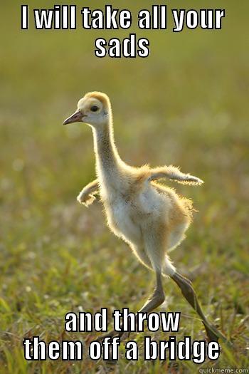 thatweirdkiddyouknow:  Supportive Sandhill Crane 