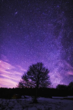 wavemotions:  Sky Tree by Nikola Efremov