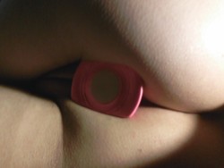 bleehan:  Pink set of plugs=best toy investment, hands down