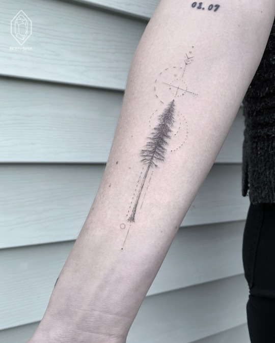 Tattoo uploaded by Heather Baldwin  Illustrative Redwood tree  Tattoodo