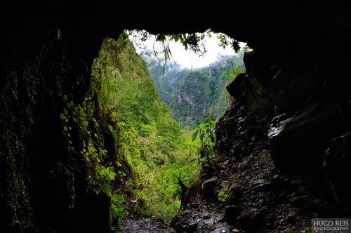 malicoast:Levada, Caldeirão Verde. Madeira, Portugal