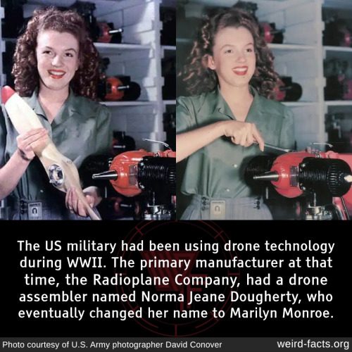 The US military had been using drone technology during WWII. The primary manufacturer at that time, 