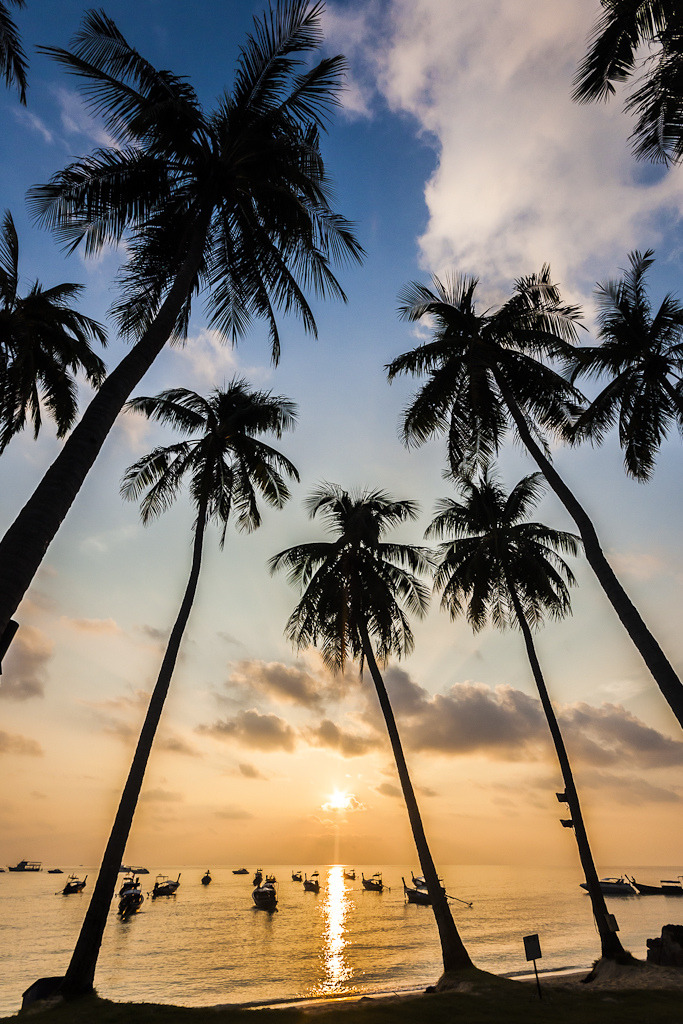 senerii:   Phi Phi Island (By Javier DG)      