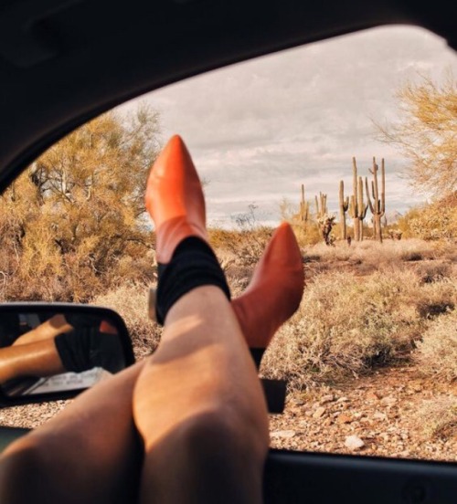 highwaykind:Americana Moodboard: The Southwest