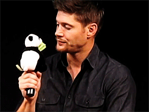 royalcas:  Jensen and his panda (×) 