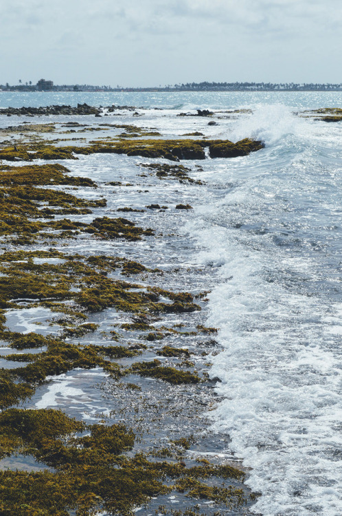 Morrocoy National Park, Venezuela.Photography Blog