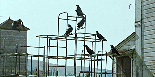 One for sorrow, two for mirth,Three for a wedding, four for a birth,Five for silver, six for gold,Se