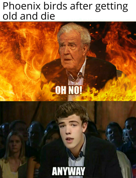 Shit's on fire yo