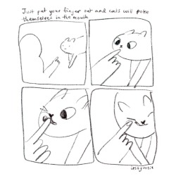 itsbyrosie: How to pat cats 