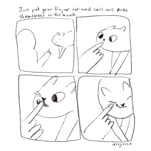 itsbyrosie:How to pat cats 